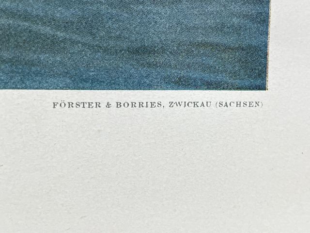 Original WWII German Military Themed Color Print, TANK HUNTERS TRANSPORTED — image 7