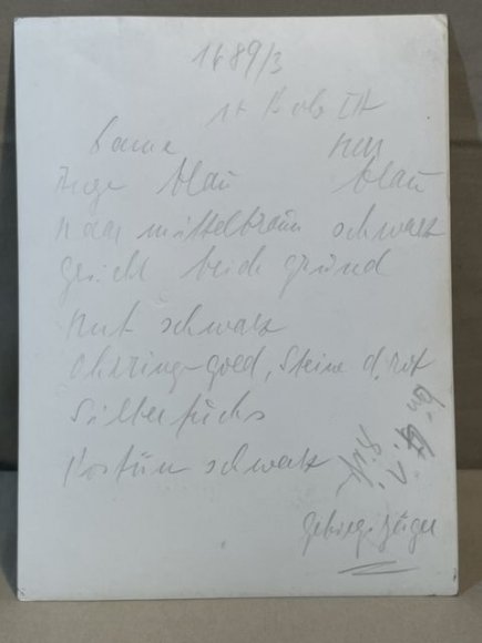 Original WWII German Gebirgsjðger Soldier's Color Enhanced Photograph — image 4