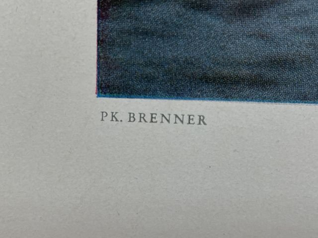 Original WWII German Military Themed Color Print, ASSAULT BOATS AHEAD — image 6