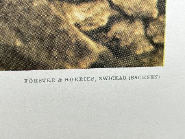 Original WWII German Military Themed Color Print, BEI EINER PANZERSPITZE — image 8