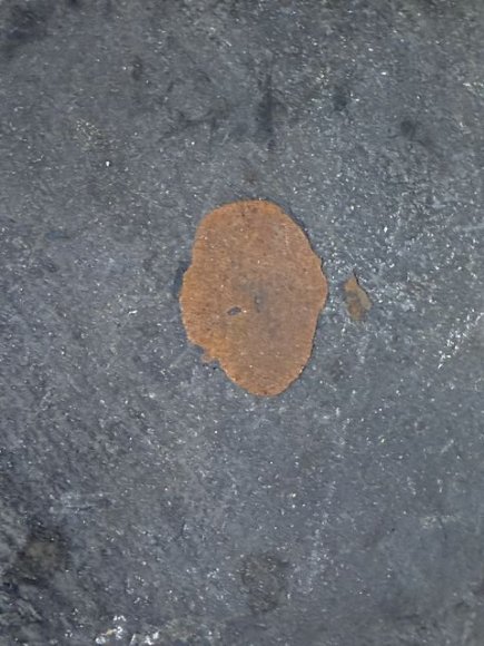 Original WWII German M35 Helmet with Liner & Chin Strap, Size 53 — image 15