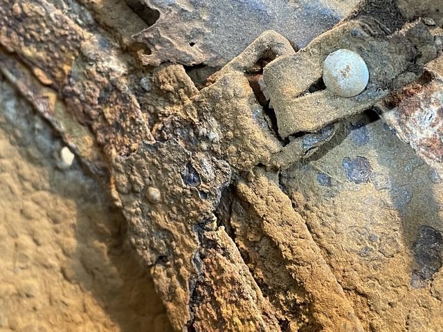 Original WWII German Battle Field Recovered M42 Steel Helmet, Waffen-SS!!! — image 19