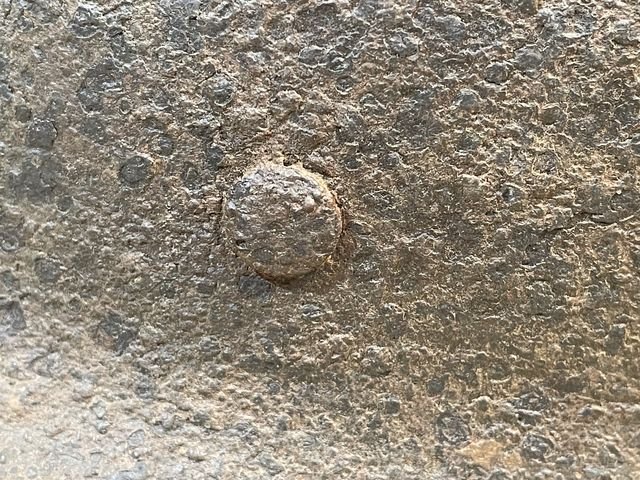 Original WWII German Battle Field Recovered M42 Steel Helmet, Waffen-SS!!! — image 8