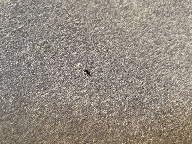 Original Nazi Era German Fire Police NCO's Visor Hat, Feuerschutzpolizei — image 16