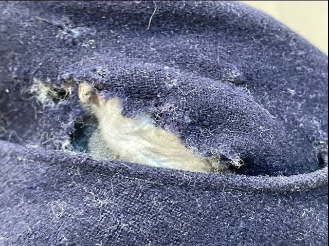 Original Nazi Era German Reichspost M43 Cap, Uncleaned — image 13