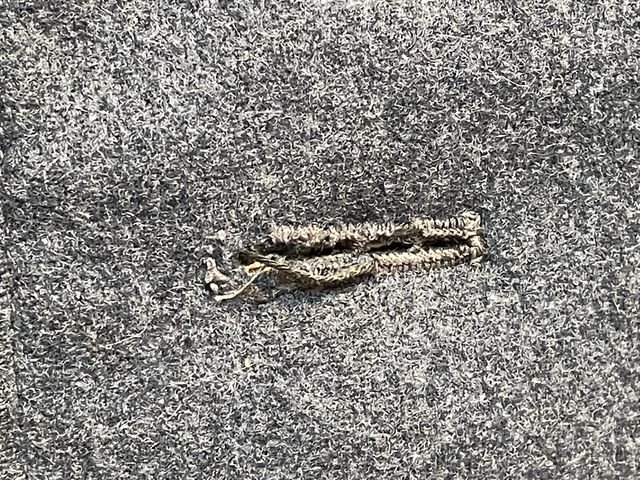 Original 1937 German Luftwaffe (Air Force) Service Tunic, Air Fighting Unit Signals — image 33