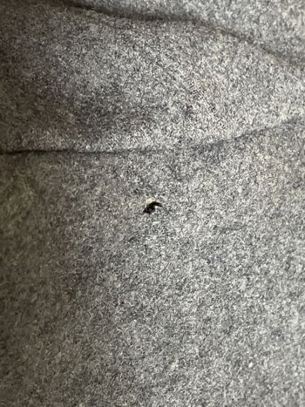 Original 1938 German Luftwaffe (Air Force) Gefreiter's Service Tunic, FLAK Artillery — image 27