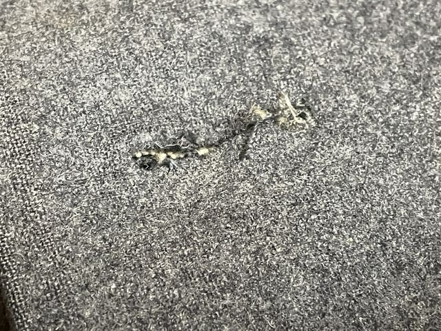 Original 1938 German Luftwaffe (Air Force) Gefreiter's Service Tunic, FLAK Artillery — image 32