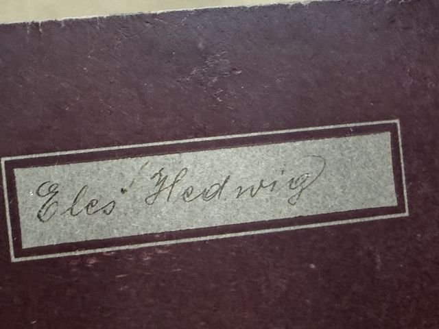 Original Nazi Era German Arbeitsbuch, 2nd Type — image 8