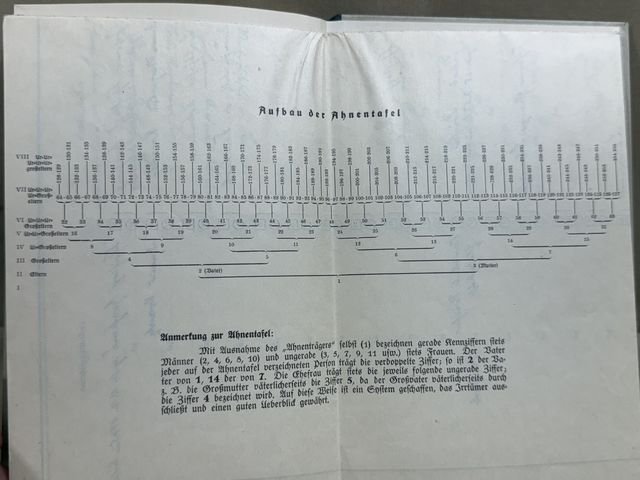 Original Nazi Era German Der Ahnenpaß (Family Tree) Book — image 12