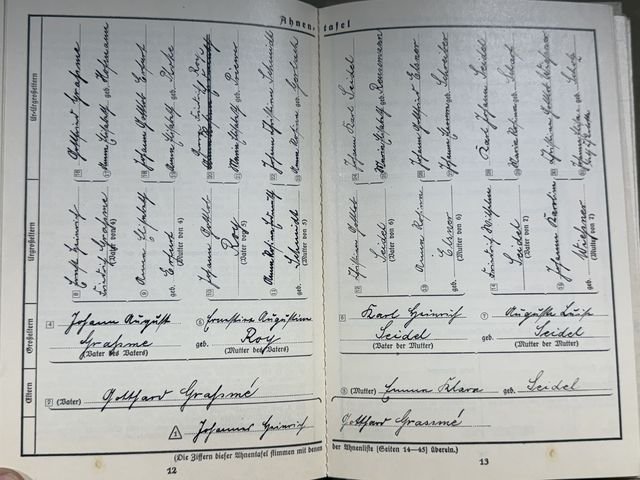 Original Nazi Era German Der Ahnenpaß (Family Tree) Book — image 4