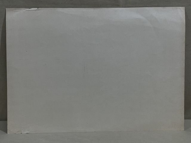 Original Nazi Era German Adolf Hitler Large Photograph Print — image 6