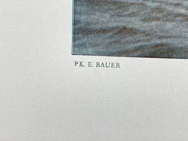 Original WWII German Military Themed Color Print, INFANTRY RIDING — image 6