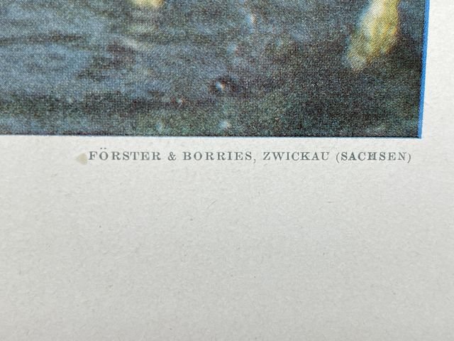 Original WWII German Military Themed Color Print, INFANTRY RIDING — image 7