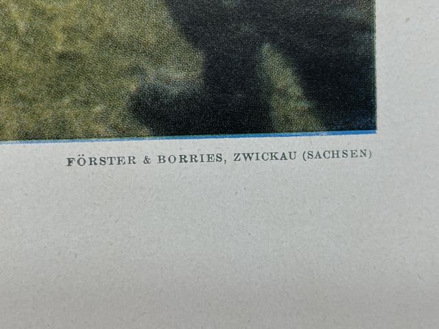 Original WWII German Military Themed Color Print, LIGHT FIELD HOWITZER SHOOTING — image 6