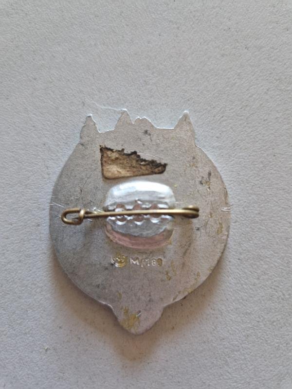 NSKOV Day Badge — image 2