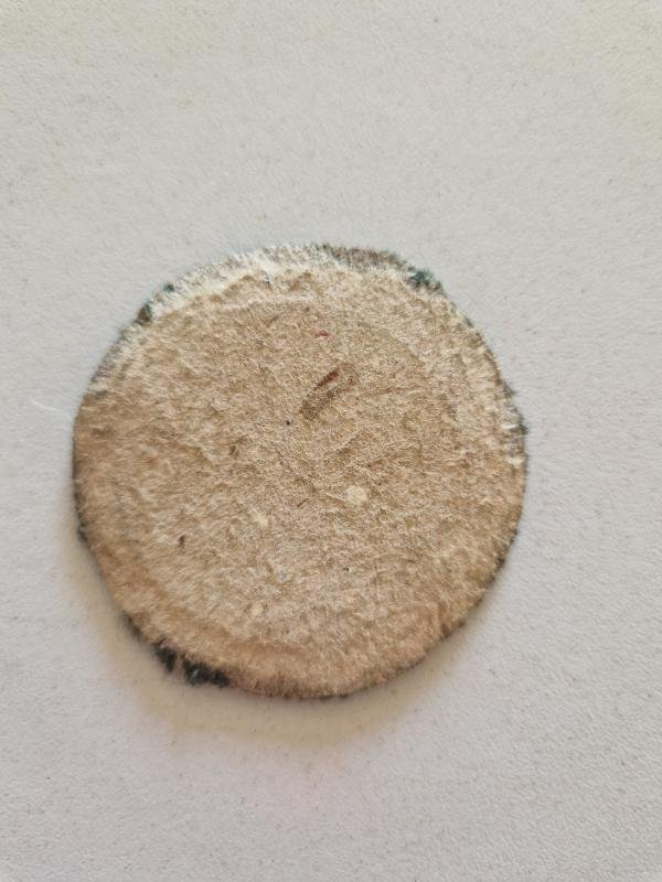 Bronze Drivers Badge — image 2