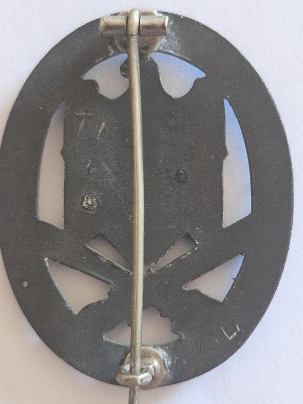 General Assault Badge.Africa Campaign Bring Back. — image 2