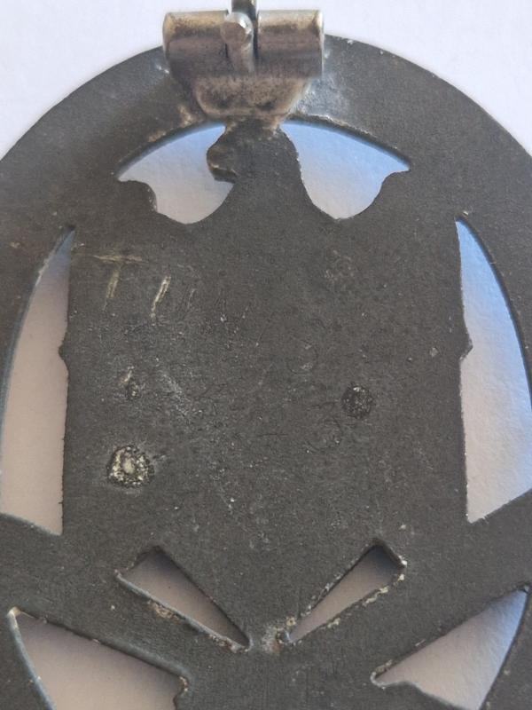 General Assault Badge.Africa Campaign Bring Back. — image 3