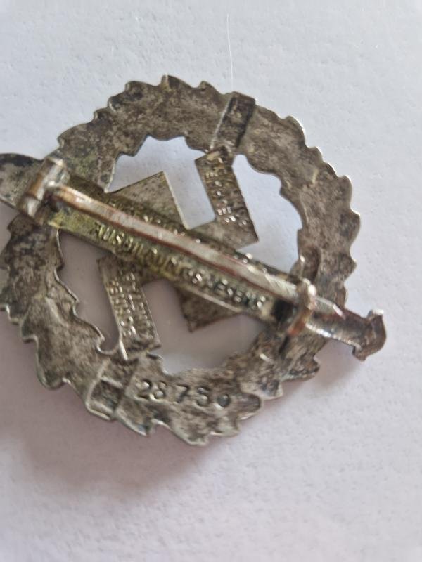 SA Sports Badge in Silver — image 3