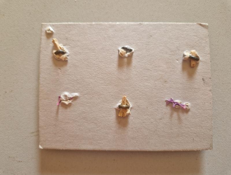 German Imperial Buttons on Card — image 2