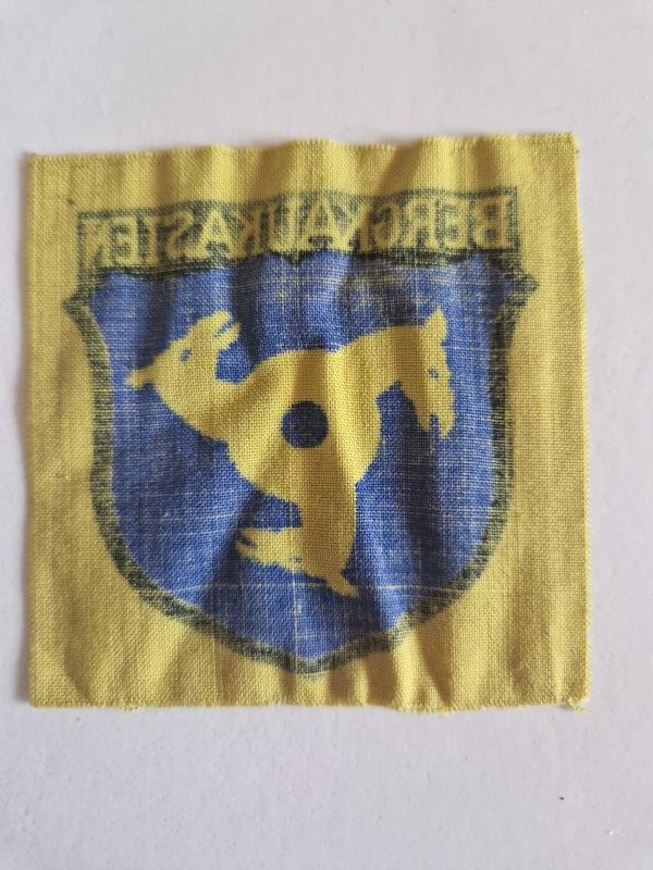 German volunteers Arm Badge — image 2