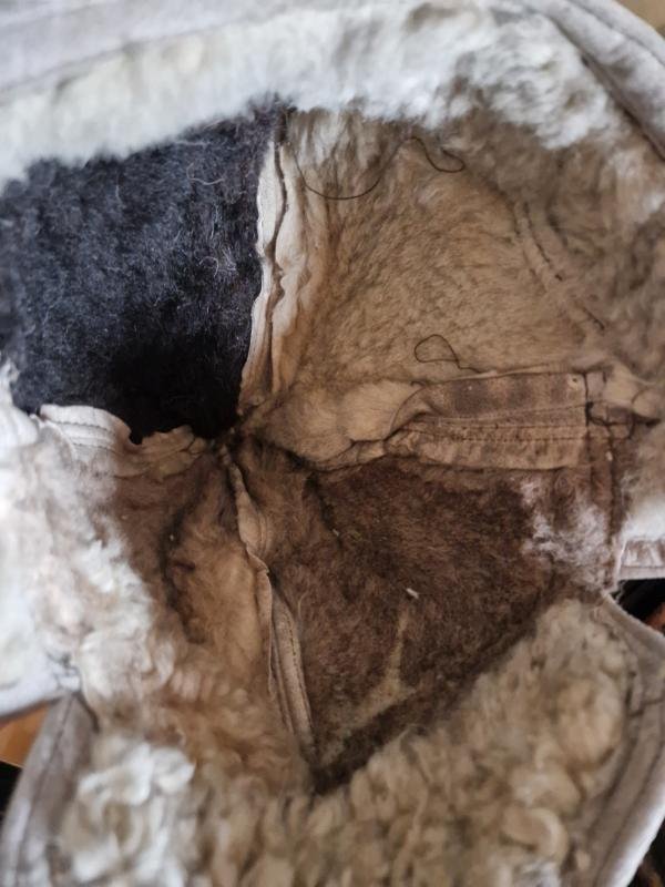 German Winter Cap — image 5