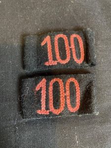 (Was £175) WW2 GERMAN PANZER REGIMENT 100 SHOULDER STRAP SLIPS