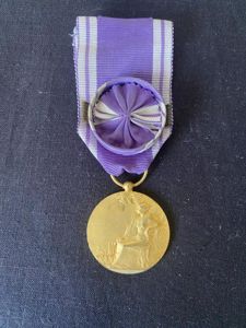 MEDAL OF HONOR FOR VOLUNTEER SERVICES COMMANDER CLASS AWARDED