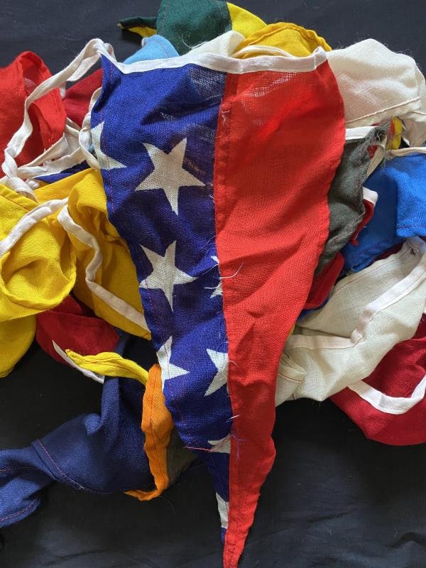LARGE FLAG BUNTIN — image 5