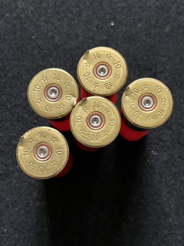 10G SHOT GUN SHELL CASE (INERT) — image 2