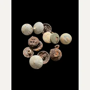 12 X WW2 GERMAN BUTTONS