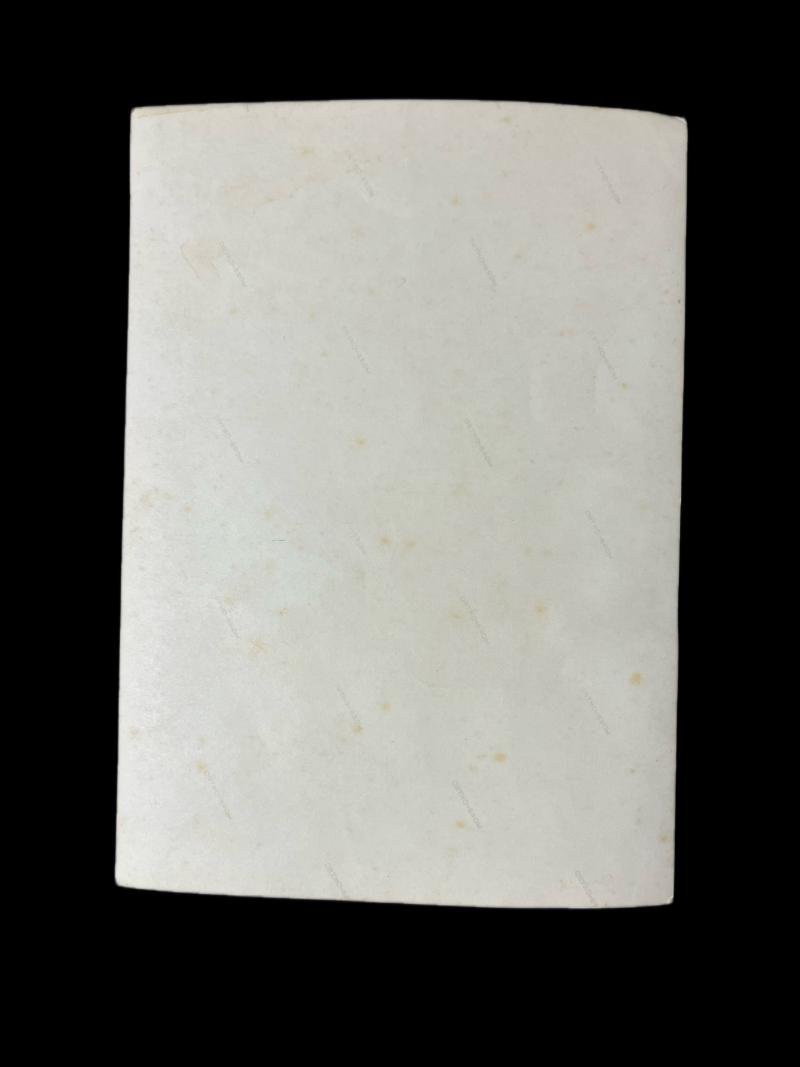 ( was £15) WW2 GERMAN LUFTWAFFE OFFICER PICTURE — image 2