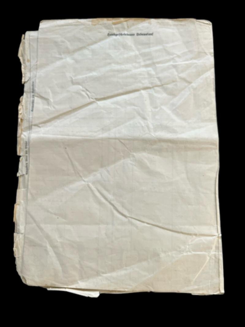 WW2 GERMAN BLUT UND BODEN QUESTIONNAIRE — image 4