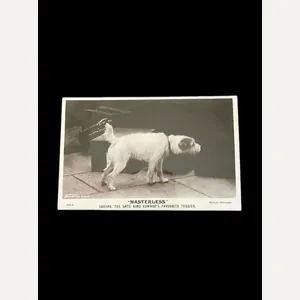 KING EDWARDS FAVOURITE TERRIER POST CARD