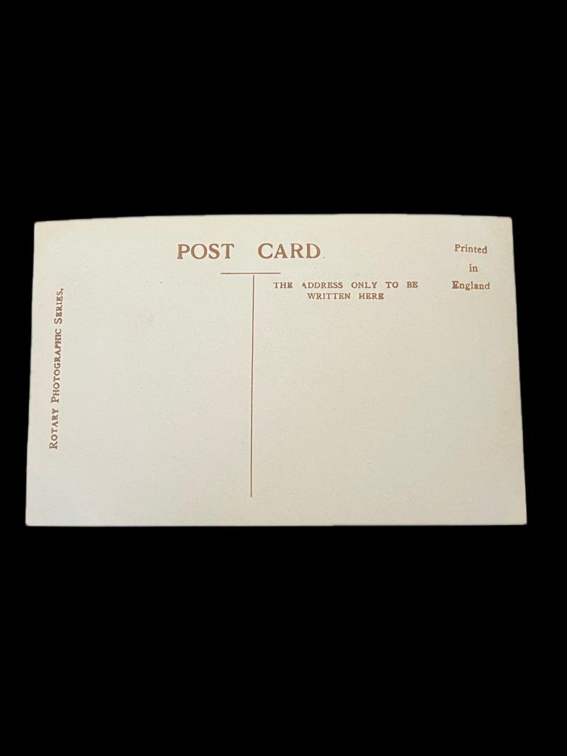 KING EDWARDS FAVOURITE DOG POST CARD — image 3