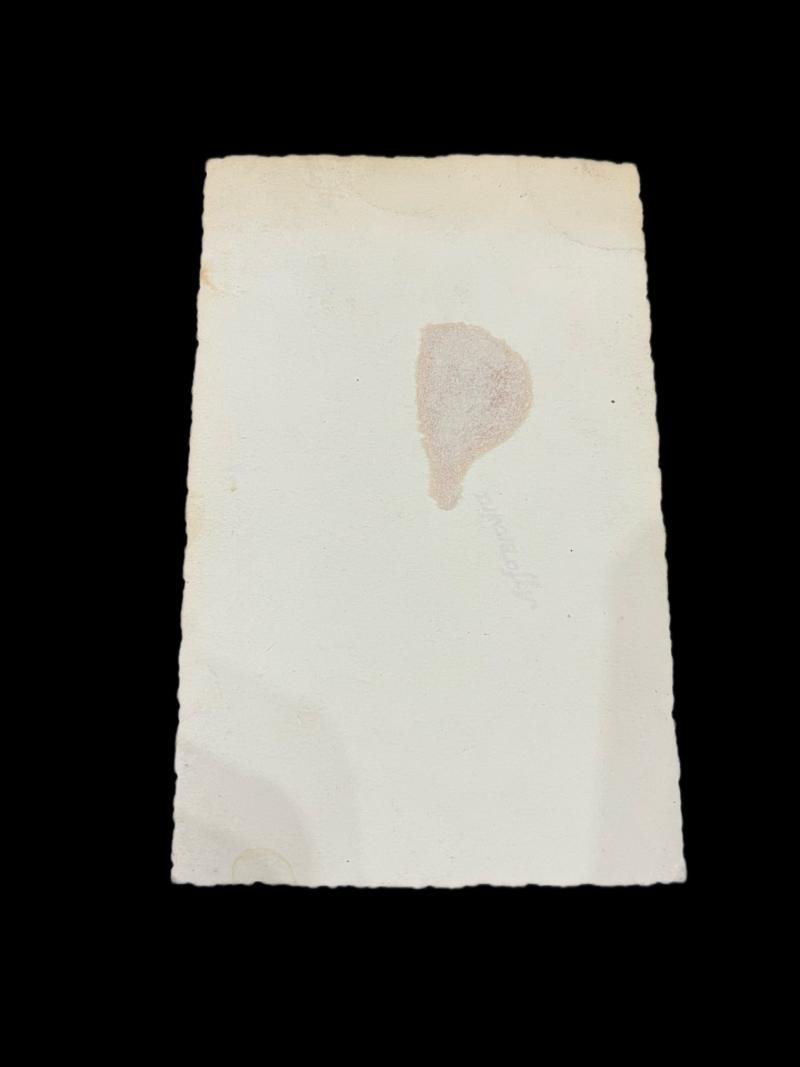 WW2 GERMAN LUFTWAFFE PICTURE — image 2