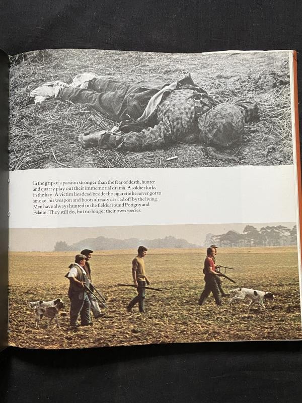 (was £10) NOT IN VAIN (HARDCOVER) — image 4