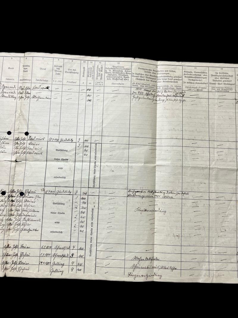 (Was £10) WW2 GERMAN BLUT UND BODEN QUESTIONNAIRE — image 4