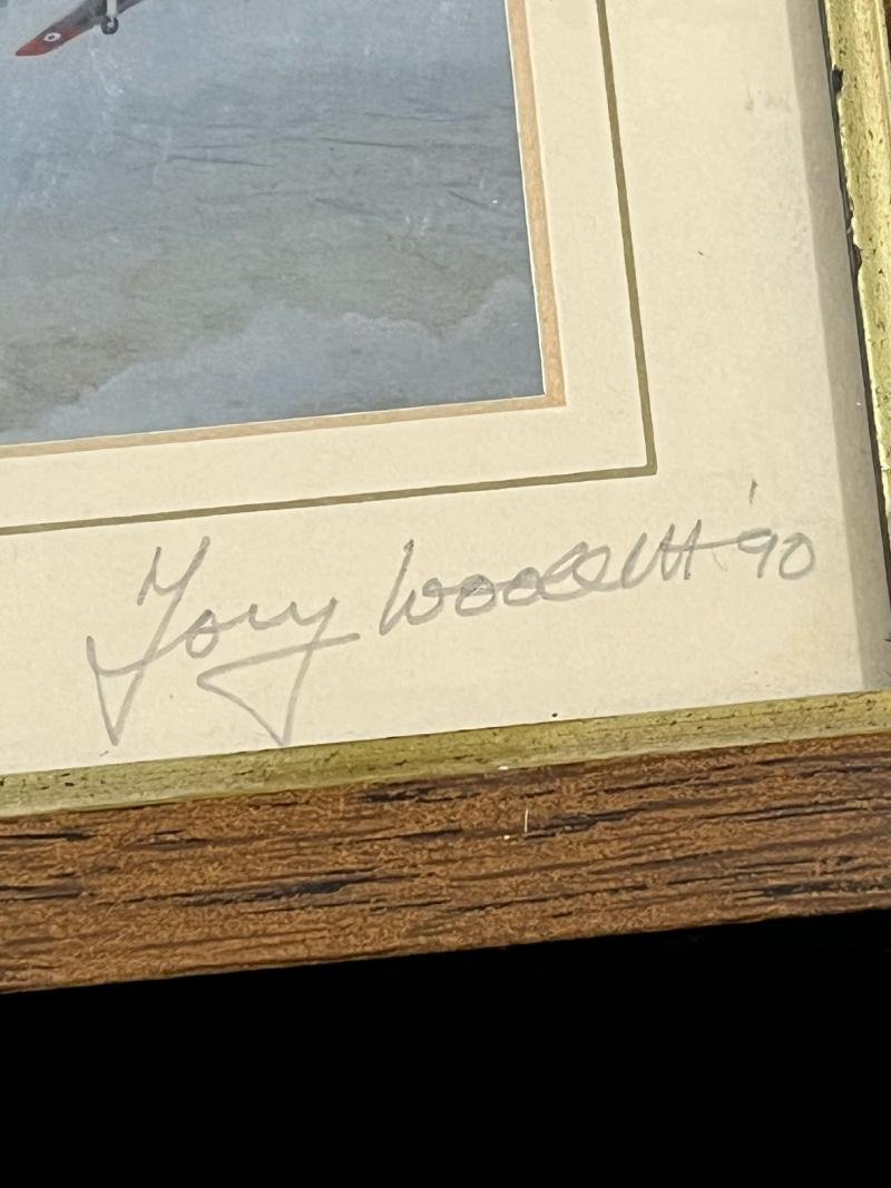 PRINT OF E.F.T.S CHIPMUNKS — image 2