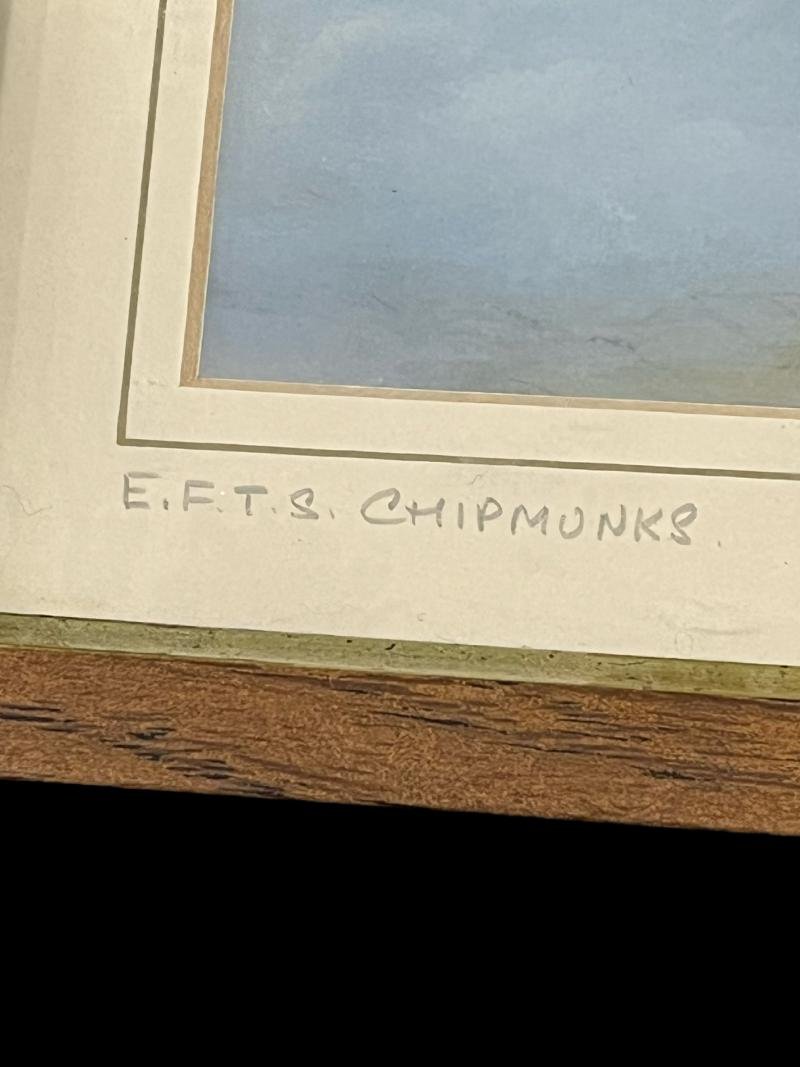 PRINT OF E.F.T.S CHIPMUNKS — image 3
