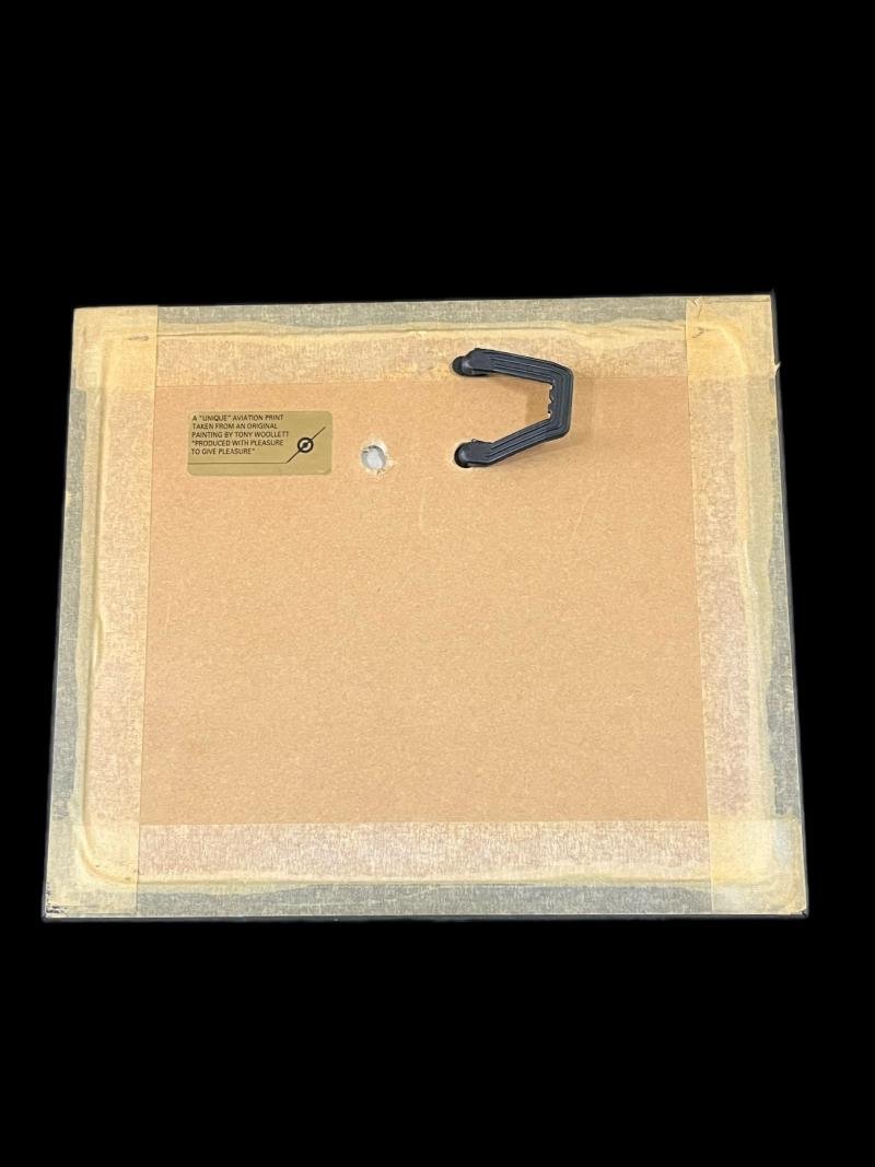 PRINT OF E.F.T.S CHIPMUNKS — image 4