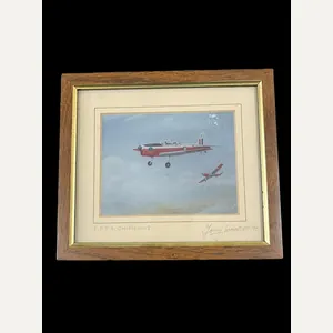 PRINT OF E.F.T.S CHIPMUNKS