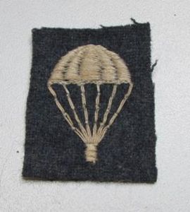 British Airborne Parachute Qualification Badge i.e. Light Bulb - Nice …