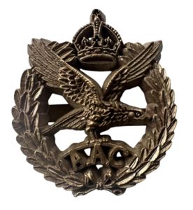 British (Airborne) Economy i.e. Plastic Army Air Corps Cap Badge …