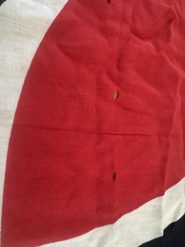 Original NSRKB Flag - Nice Used Condition — image 5