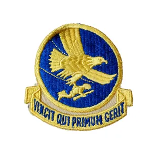 WWII US Airborne Troop Carrier Patch