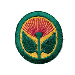 WWII US Hawaiian Coastal Defense Patch