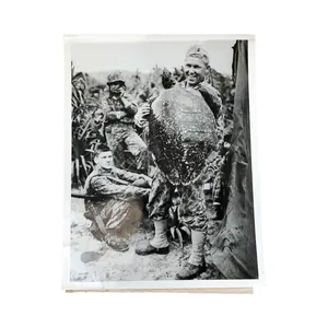 WWII US Press Photograph Myrtle The Turtle