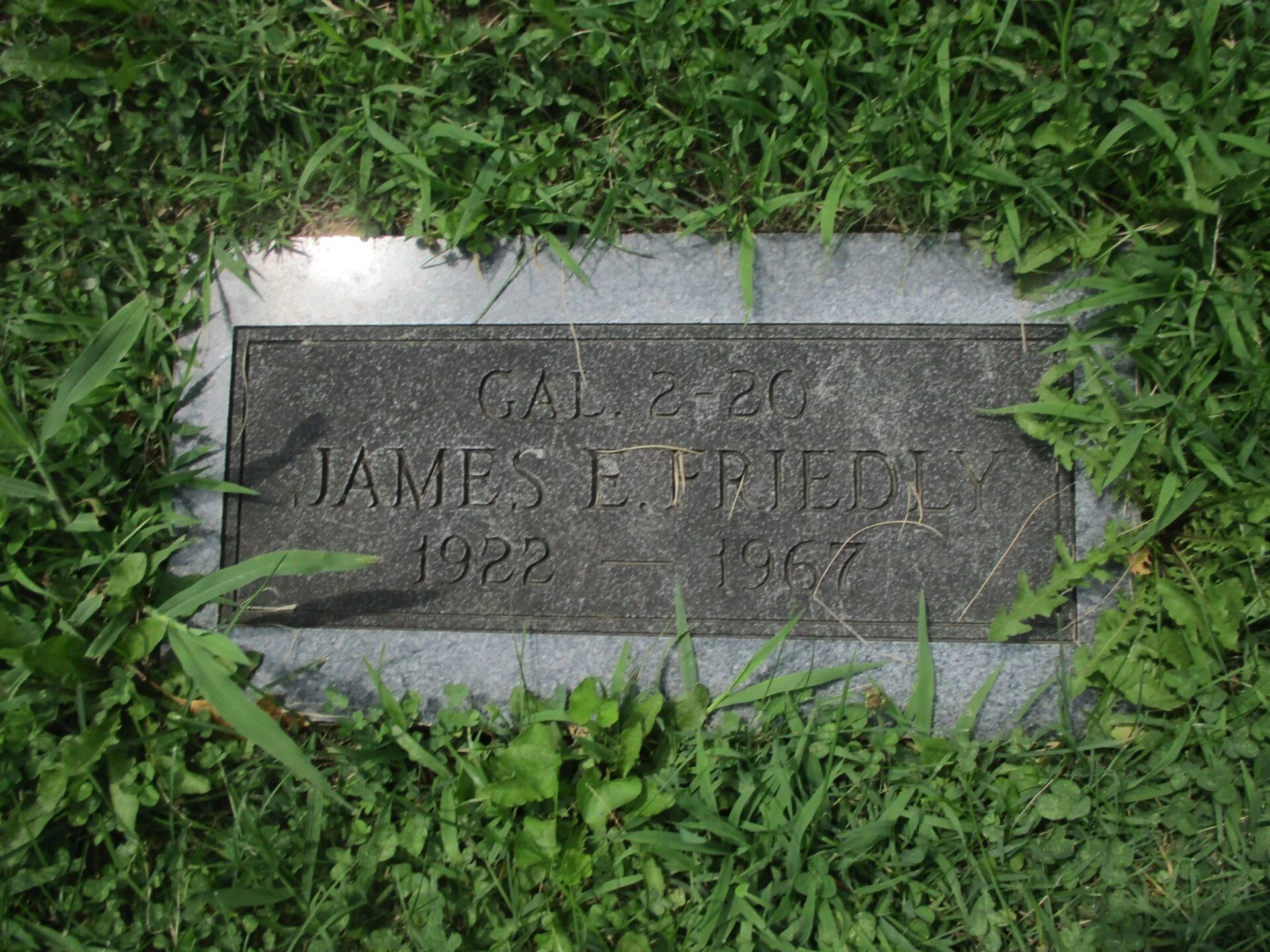 WWII US Dog Tag Set Friedly — image 6